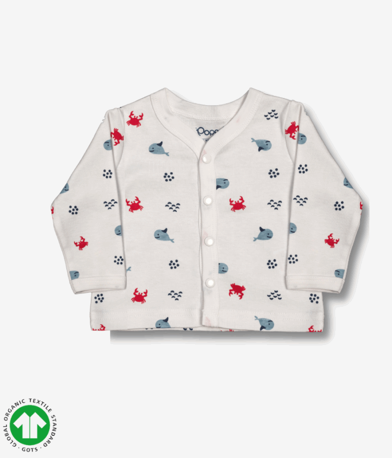 Organic Cotton Baby T-shirts
